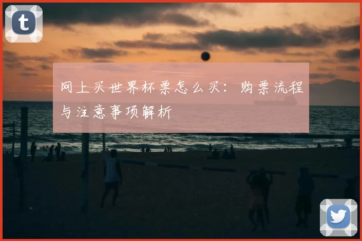 网上买世界杯票怎么买：购票流程与注意事项解析