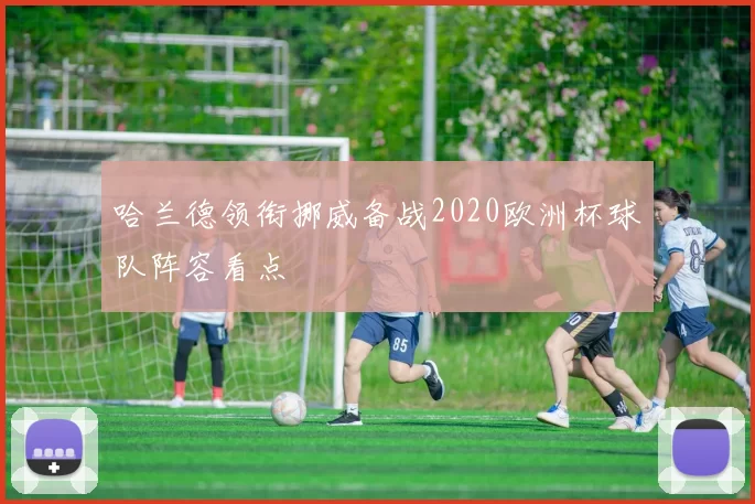 哈兰德领衔挪威备战2020欧洲杯球队阵容看点