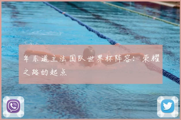 年东道主法国队世界杯阵容：荣耀之路的起点
