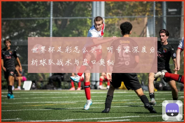 世界杯足彩怎么买?听专家深度分析球队战术与盘口奥秘