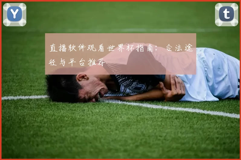 直播软件观看世界杯指南：合法途径与平台推荐