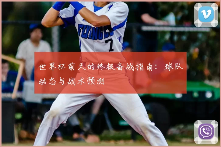 世界杯前天的终极备战指南：球队动态与战术预测