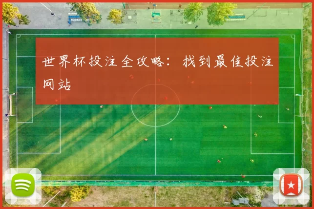 世界杯投注全攻略：找到最佳投注网站