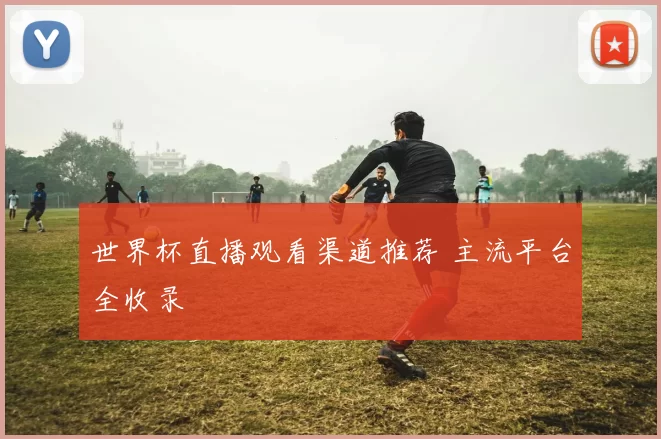 世界杯直播观看渠道推荐 主流平台全收录