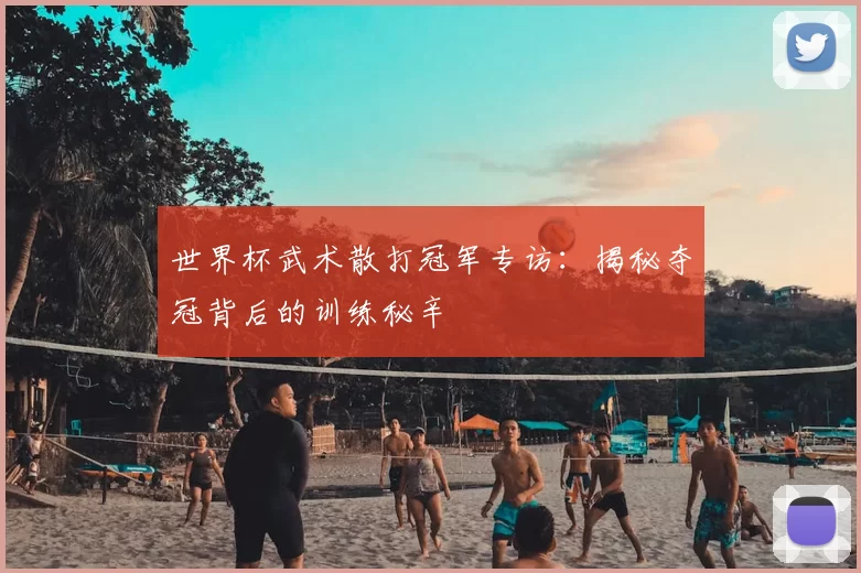 世界杯武术散打冠军专访：揭秘夺冠背后的训练秘辛
