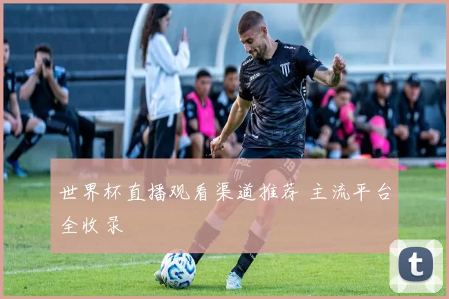 世界杯直播观看渠道推荐 主流平台全收录